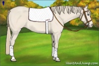 Horse Color:Perlino Roan 