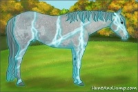 Horse Color:Thunderstruck Black Ice Appaloosa 