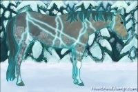 Horse Color:Thunderstruck Black Ice Tobiano 