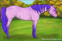 Horse Color:Watercolor Bay Roan Rabicano 