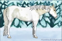 Horse Color:Chocolate Palomino Ice Roan Splash Tobiano 