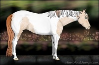 Horse Color:Buckskin Ice Pearl Tobiano Rabicano