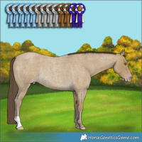 Horse Color:Classic Cream Champagne Roan Rabicano 