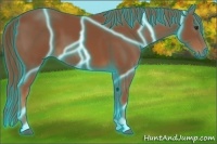 Horse Color:Thunderstruck Chestnut