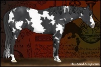 Horse Color:White Spotted Black Frame 