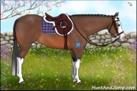 Horse Color:Bay Splash 