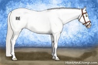 Horse Color:Silver Amber Champagne Dun Splash Appaloosa 
