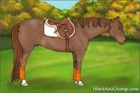 Horse Color:Red Roan 