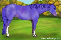 Horse Color:Watercolor White Spotted Liver Chestnut Rabicano 