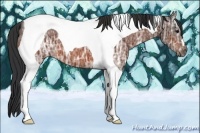 Horse Color:Bay Ice Tobiano 