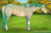 Horse Color:Watercolor White Spotted Bay Dun Tobiano Rabicano