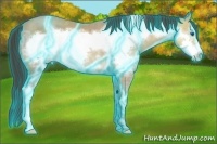 Horse Color:Thunderstruck Amber Champagne Ice Frame 