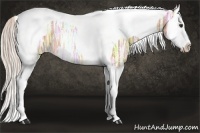 Horse Color:Palomino Ice Splash Tobiano Rabicano