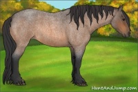 Horse Color:Buckskin Roan Rabicano