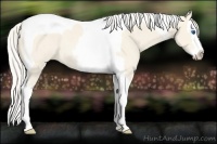 Horse Color:Cremello Splash Tobiano Rabicano 