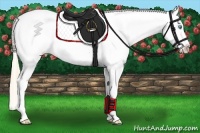 Horse Color:White Spotted Perlino Blanket
