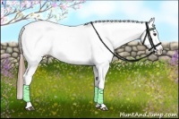 Horse Color:Chestnut Tobiano Snowflake Varnish 