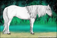 Horse Color:Gray Bay Ice Splash Appaloosa Rabicano 