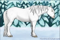 Horse Color:Silver Sable Champagne Dun Splash Tobiano Appaloosa 