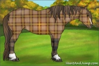 Horse Color:Plaid Bay Sabino