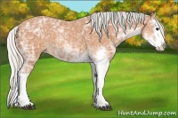 Horse Color:Silver Bay Ice Sabino Splash 