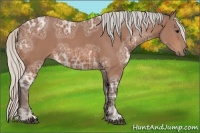 Horse Color:Silver Bay Ice Sabino