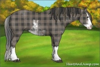 Horse Color:Plaid Smoky Black Sabino Splash