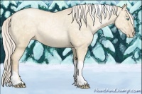 Horse Color:Palomino Ice Pearl Dun Tobiano