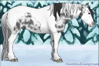 Horse Color:Black Ice Splash Tobiano 