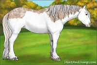 Horse Color:Silver Buckskin Ice Splash Rabicano 