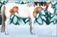 Horse Color:Plaid Bay Splash Tobiano