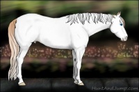 Horse Color:Smoky Black Pearl Sabino Splash Tobiano 