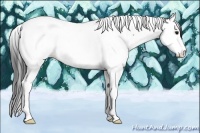 Horse Color:Grullo Splash Tobiano
