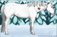 Horse Color:Bay Splash Tobiano