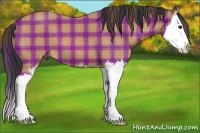 Horse Color:Plaid Bay Sabino Splash