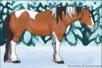 Horse Color:Bay Splash Tobiano Rabicano