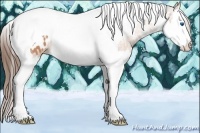 Horse Color:Bay Ice Splash Tobiano Appaloosa