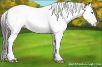 Horse Color:Bay Splash Tobiano Appaloosa Rabicano 