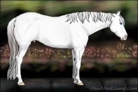 Horse Color:Black Splash Tobiano Appaloosa 