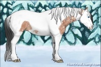 Horse Color:Bay Ice Sabino Splash Tobiano Rabicano 
