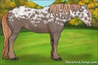 Horse Color:Liver Chestnut Ice 