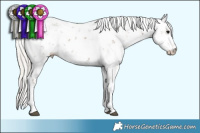 Horse Color:Silver Black Sabino 