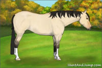 Horse Color:Gray Buckskin Roan Dun