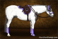Horse Color:Smoky Black Tobiano Frame 