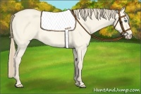 Horse Color:Perlino Dun 