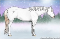 Horse Color:Brown Pearl Splash Snowcap 