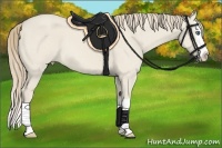 Horse Color:Smoky Creme Dun Splash 