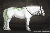 Horse Color:Watercolor Liver Chestnut Sabino Splash Frame Appaloosa Rabicano