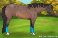 Horse Color:Bay Roan 
