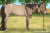 Horse Color:Amber Champagne Roan 